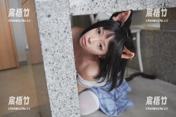 Maruemon(마루에몽)的作品真不简单：这一季，野猫在图里打了个盹
