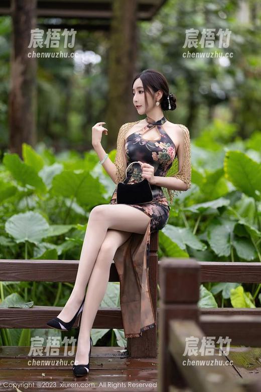Xiuren秀人网 - 宝宝甜的比基尼狂想，写真图包一点都不低调