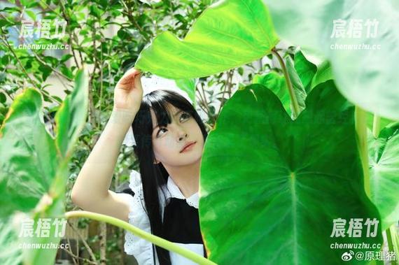 新鲜出炉！白莉爱吃巧克力的蕾姆女仆，更新得让我想起曾经看过的某传奇动画，差点忘了现实。