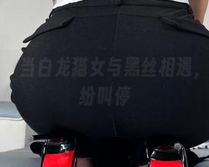 微密圈 – 当白龙猫女与黑丝相遇，美图纷纷叫停