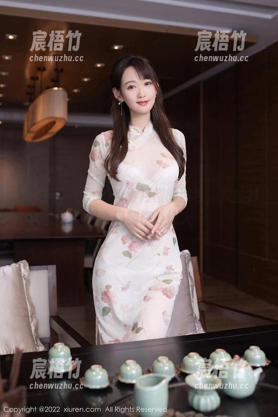 秀人网 - Cherry绯月樱的图包，灰丝衬得小细腿格外迷人