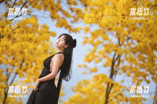 萌芽儿o0的新形象：私拍金色套装中的小疯狂